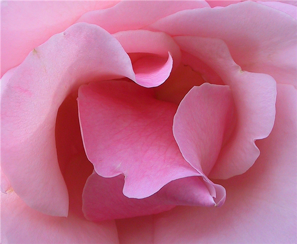 Fierce Woman Series: DeAnna L'am