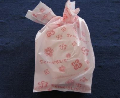 Fierce Woman of the Month: Ann Germanow, Founder of Scensible Bags