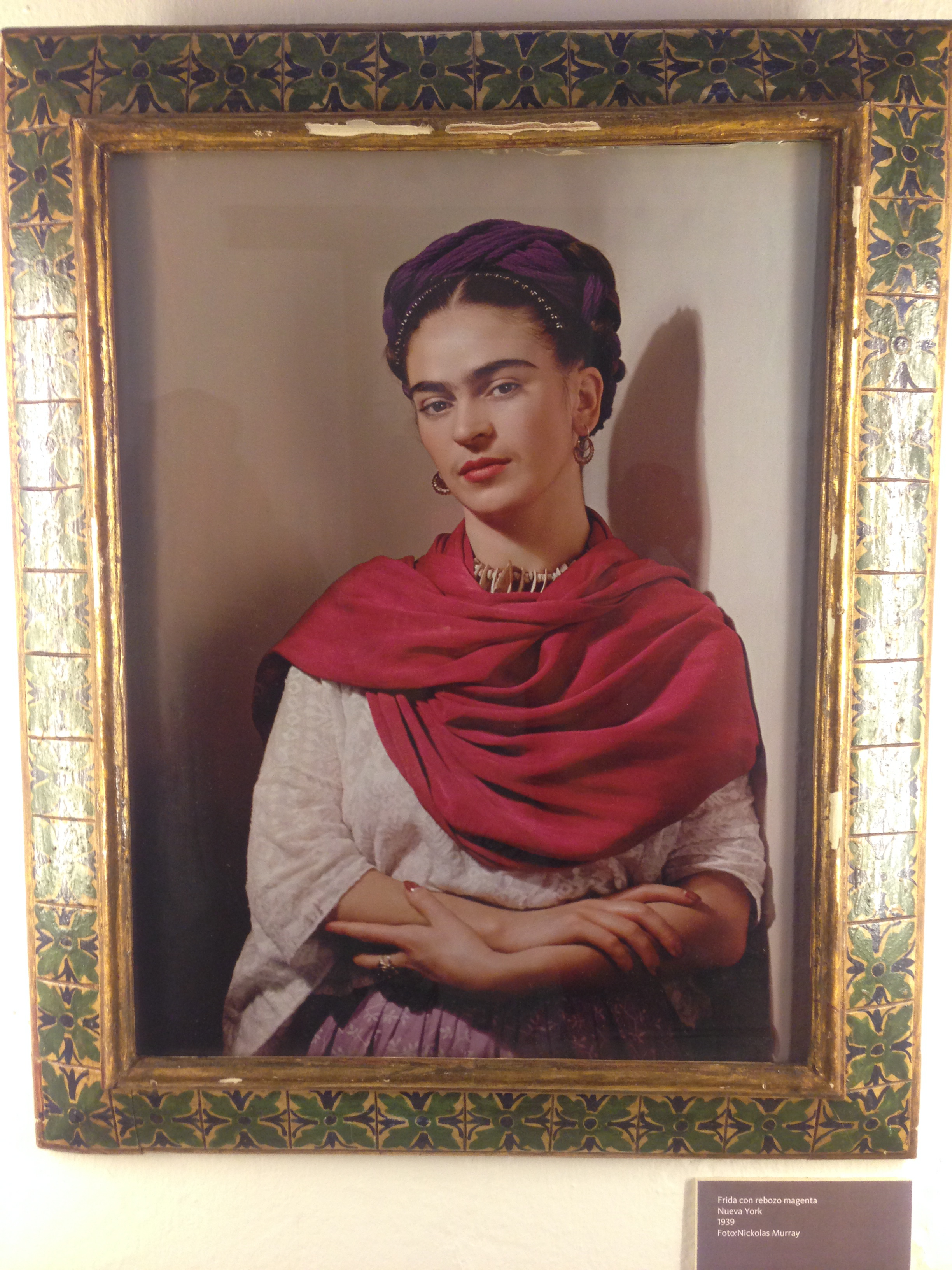 Viva La Vida: Frida Kahlo, Fierce Woman