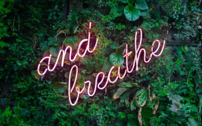 5 Ways to De-Stress this Election Season